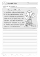 Vorschau - Arbeitsblätter - Abschreibtexte Frühling | Vereinfachte Ausgangsschrift (VA) - Seite 2