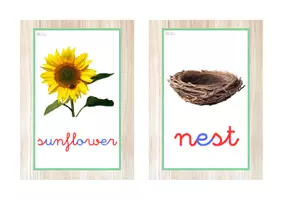 Vista previa - Tarjetas / Manipulativos - INGLÉS - Vocabulario letra minúscula ligada (primavera) - página 1