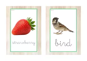 Vista previa - Tarjetas / Manipulativos - INGLÉS - Vocabulario letra minúscula ligada punteada (primavera) - página 3