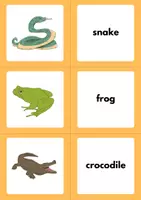 Vorschau - Spiele - Animals Matching Game: Vocabulary (English) - Seite 3