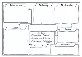 Vorschau - Unterrichtsreihen - Wald - Waldtiere - Vortrag/ Referat halten - Seite 1