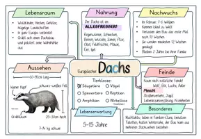 Vorschau - Unterrichtsreihen - Wald - Waldtiere - Vortrag/ Referat halten - Seite 2