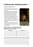 Vorschau - Arbeitsblätter - Heimische Tiere im Winter. AB 2: Winterruhe und Winterschlaf - Seite 2
