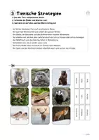 Vorschau - Arbeitsblätter - Heimische Tiere im Winter. AB 3: Tiere und ihre Überwinterungsstrategien - Seite 1