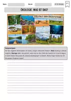 Vorschau - Unterrichtsreihen - Komplettpaket Einführung in die Ökologie: Was ist das? - Seite 2