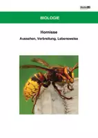 Vorschau - Arbeitsblätter - Hornissen - Arbeitsblätter mit Lösungen PDF - Deckblatt