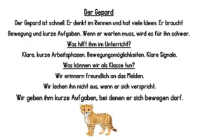Vorschau - Poster - Wir ticken alle anders - Neurodivergenz der Klasse erklären - Seite 3