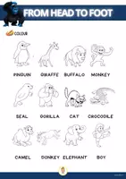 anteprima - Esercizi - FROM HEAD TO FOOT - STORYTIME WHORKSHEETS COLLECTION - Pagina 2