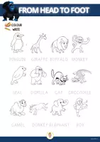 anteprima - Esercizi - FROM HEAD TO FOOT - STORYTIME WHORKSHEETS COLLECTION - Pagina 3