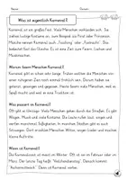 Vorschau - Arbeitsblätter - Ethik - Was ist eigentlich Karneval 1 2 - Seite 2