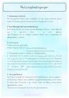 Vorschau - Arbeitsblätter - Karneval Rechengeschichten (Rechnen in Schritten mit ZÜ) - Seite 1