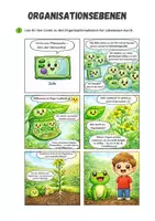 Vorschau - Arbeitsblätter - Zellbiologie ⎮ Von der Zelle zum Organismus - Organisationsebenen (Sachtexte mit Aufgaben) - Seite 1