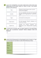 Vorschau - Arbeitsblätter - Zellbiologie ⎮ Von der Zelle zum Organismus - Organisationsebenen (Sachtexte mit Aufgaben) - Seite 2