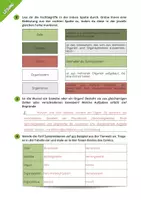Vorschau - Arbeitsblätter - Zellbiologie ⎮ Von der Zelle zum Organismus - Organisationsebenen (Sachtexte mit Aufgaben) - Seite 3