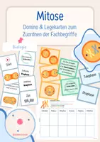 Vorschau - Spiele - Zellteilung: Mitose - Legekarten, Domino & Tabelle - Deckblatt