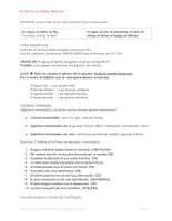 Vista previa - Hojas de trabajo - Cuestión de género: masculino / femenino (B1-B2) - página 2