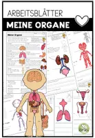 Vorschau - Arbeitsblätter - Unser Körper - Materialpaket | Sachunterricht (Körperteile · Organe · Skelett) - Seite 1
