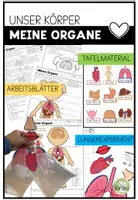 Vorschau - Arbeitsblätter - Unser Körper - meine Organe | Tafelmaterial - Sachunterricht Volksschule - Deckblatt
