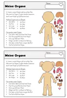 Vorschau - Arbeitsblätter - Unser Körper - meine Organe | Tafelmaterial - Sachunterricht Volksschule - Seite 3