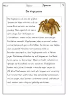 Vorschau - Arbeitsblätter - Lesen: Spinnen - Leseverstehen - Seite 1