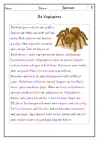 Vorschau - Arbeitsblätter - Lesen: Spinnen - Leseverstehen - Seite 2