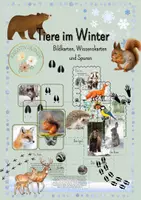 Vorschau - Poster - Tiere im Winter - Deckblatt
