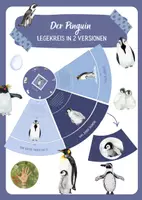 Vorschau - Poster - Der Pinguin - Legekreis-Set mit 2 Versionen - Deckblatt
