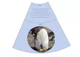 Vorschau - Poster - Der Pinguin - Legekreis-Set mit 2 Versionen - Seite 3