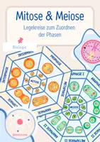 Vorschau - Spiele - Zellteilung: Mitose & Meiose - Legekreis - Deckblatt