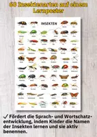 Vorschau - Arbeitsblätter - Materialpaket Tierposter – Alle Lebensräume abdecken & Unterricht sofort strukturieren - Seite 2