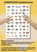 Vorschau - Arbeitsblätter - Materialpaket Tierposter – Alle Lebensräume abdecken & Unterricht sofort strukturieren - Seite 3