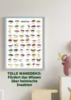 Vorschau - Poster - Lernposter Insekten – 40 Insekten im Aquarellstil, Poster für Grundschule, Kita und Zuhause - Seite 3