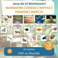 Aperçu - Apprentissages en autonomie - Jeu de tri animaux Montessori – Mammifères Oiseaux Reptiles Poissons Insectes – Classification scientifique PDF - Page de couverture