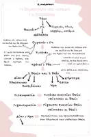 Προεπισκόπηση - Υποστηρικτικό υλικό / Ειδική αγωγή - Η δημιουργία του κόσμου-Ιστορία Γ Δημοτικού - Σελίδα 1