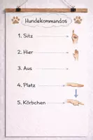 Vorschau - Poster - Schulhund / Hundekommandos - Seite 1