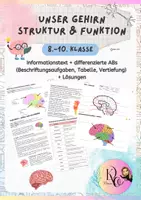 Vorschau - Arbeitsblätter - Unser Gehirn - Aufbau, Lage, Funktionen - Deckblatt