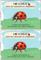 Vorschau - Bildkarten - interaktive Lesereise Lebensraum Marienkäfer - Seite 2