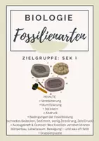 Vorschau - Arbeitsblätter - Fossilienarten – Gruppenpuzzle mit Expertengruppen (Versteinerung, Mumifizierung, Steinkern, Abdruck) - Deckblatt