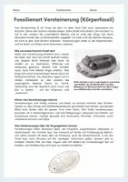 Vorschau - Arbeitsblätter - Fossilienarten – Gruppenpuzzle mit Expertengruppen (Versteinerung, Mumifizierung, Steinkern, Abdruck) - Seite 1