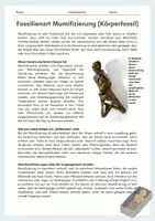 Vorschau - Arbeitsblätter - Fossilienarten – Gruppenpuzzle mit Expertengruppen (Versteinerung, Mumifizierung, Steinkern, Abdruck) - Seite 2