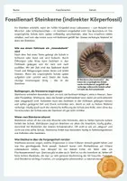 Vorschau - Arbeitsblätter - Fossilienarten – Gruppenpuzzle mit Expertengruppen (Versteinerung, Mumifizierung, Steinkern, Abdruck) - Seite 3