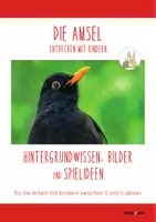 Vorschau - Spiele - DIE AMSEL: Wissen, Bilder & Spiele (Kinder 3-6 J.) - Seite 1