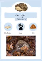 Vorschau - Stationenlernen - TIERE IM WINTER: Infokarten / Faktencheck - Seite 1