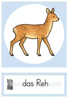 Vorschau - Bildkarten - TIERE IM WINTER: Bildkarten - Seite 2