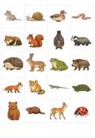 Vorschau - Arbeitsblätter - TIERE IM WINTER: Flipbook 1.Klasse - Seite 2