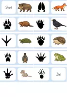 Vorschau - Spiele - TIERE IM WINTER: Spuren im Schnee - Domino - Seite 3