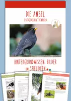 Vorschau - Mal- und Bastelvorlagen - DIE AMSEL: Wissen, Bilder & Spiele (Kinder 5-10 J.) - Deckblatt