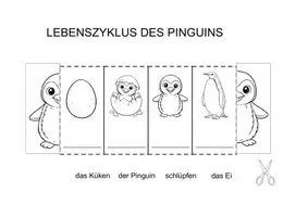 Vorschau - Stationenlernen - Lebenszyklus Pinguin Vogel Frosch Schmetterling Biene Falthefte - Seite 1