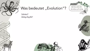 Vorschau - Arbeitsblätter - Einstieg Evolution Oberstufe - Seite 2