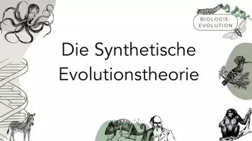 Vorschau - Arbeitsblätter - Die Synthetische Evolutionstheorie - Deckblatt